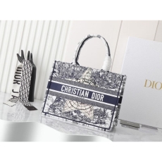 Christian Dior Shopping Bags